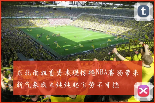东北雨姐首秀表现惊艳NBA赛场带来新气象我火纯纯起飞势不可挡